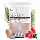 Clean sourced Collagens thumbnail